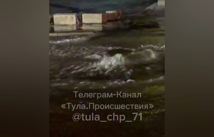 Вода из колодца залила дорогу на улице Максима Горького в Туле