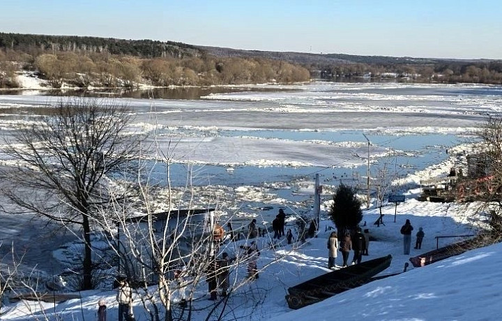 Около Поленово Тульской области на реке Оке начался ледоход