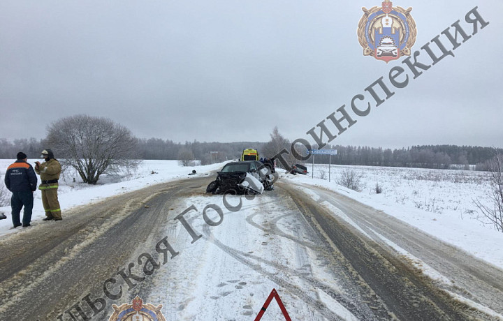 Четырехлетняя девочка пострадала в ДТП с Chery А15 и Kia Sorento в Тульской области