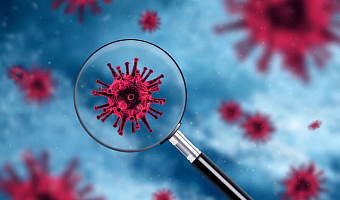 Глава Роспотребнадзора заявила о высоком риске появления в мире нового высокопатогенного вируса гриппа