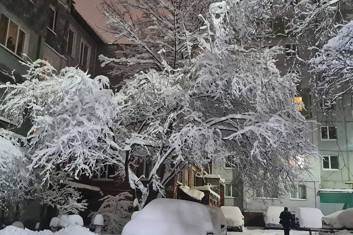 Тула утонула в снегу утром 14 декабря