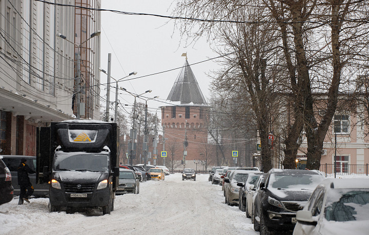 Днем 2 января в Тульской области усилится ветер с порывами до 17 метров в секунду