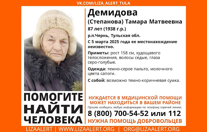 В тульском поселке Чернь пропала 87-летняя пенсионерка