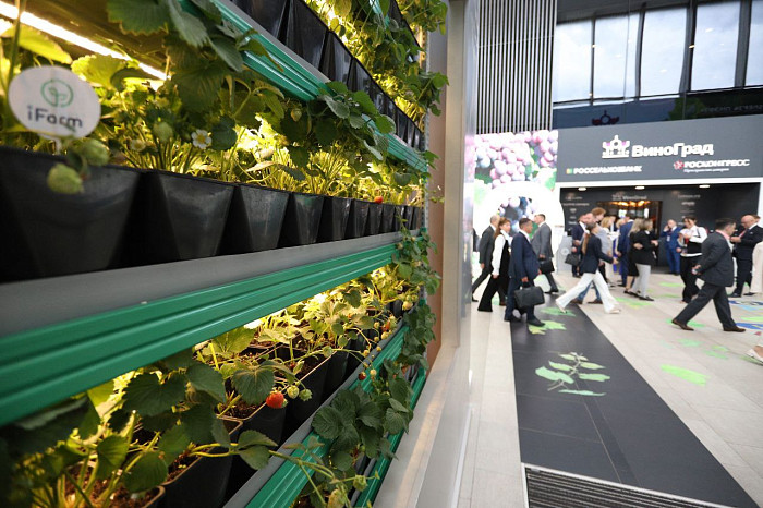 Люди, машины, роскошь: яркие фото третьего дня ПМЭФ-2024