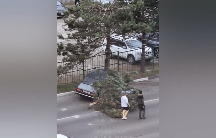 В Туле водитель «ВАЗа» снёс дерево, расколов его пополам