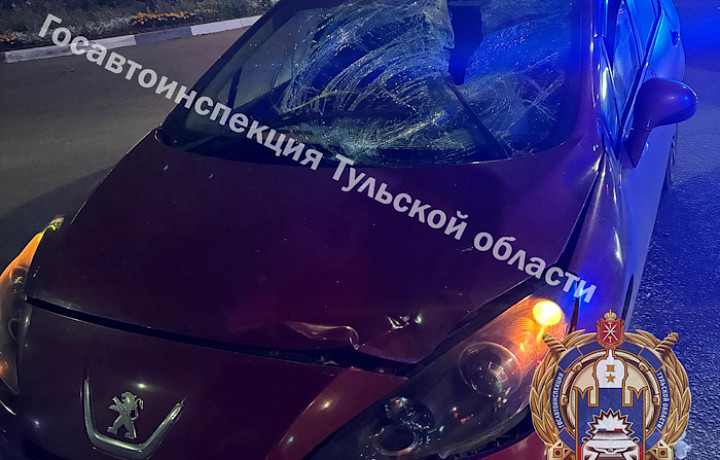 Стали известны подробности ночного ДТП с пешеходом на улице Пузакова в Туле
