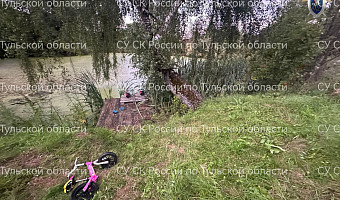 ﻿Четырехлетний мальчик, пропавший в Дубенском районе, погиб: возбуждено уголовное дело