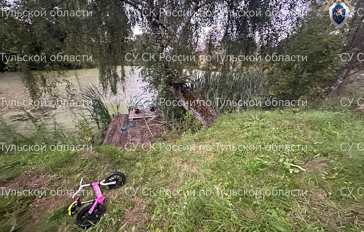 ﻿Четырехлетний мальчик, пропавший в Дубенском районе, погиб: возбуждено уголовное дело