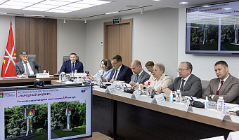 В Славном установят въездные стелы за 1,9 млн рублей