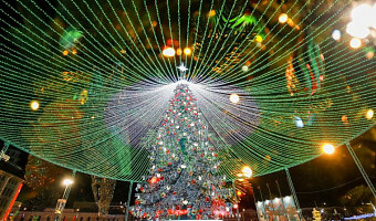 Елка на площади Ленина в Туле будет стоять до 1 марта