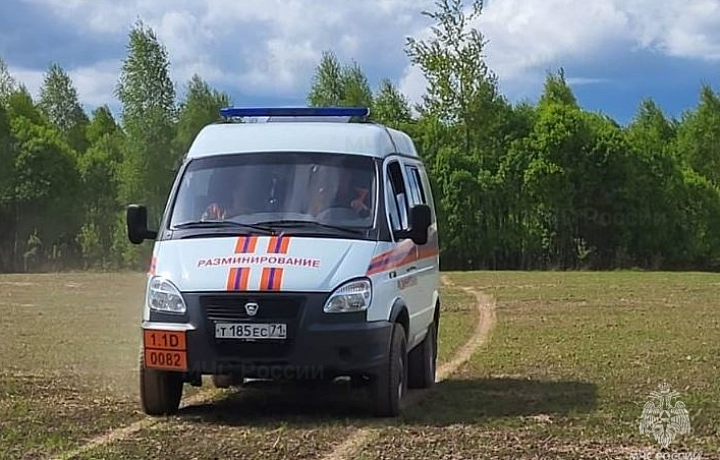 Спасатели ликвидировали минометную мину времен ВОВ, найденную в Алексине