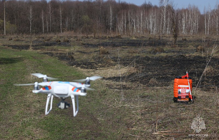 В деревне под Тулой сотрудники МЧС поймали поджигательницу травы при помощи дрона