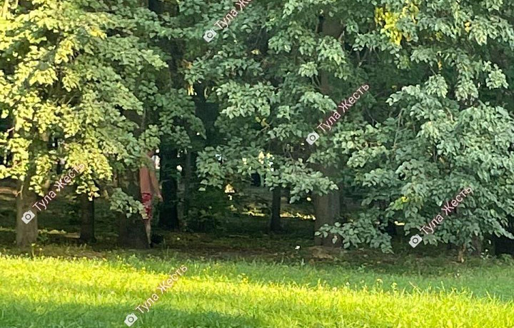 Неизвестный мужчина подглядывал за переодевающимися девушками в тульском ЦПКиО имени Белоусова