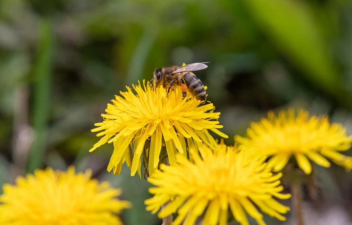 16 мая в Туле и области будет солнечно и потеплеет до +21 градуса
