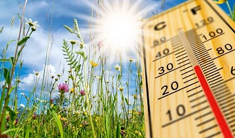 Дерматолог объяснила, зачем нужны SPF-средства для защиты кожи от солнца  