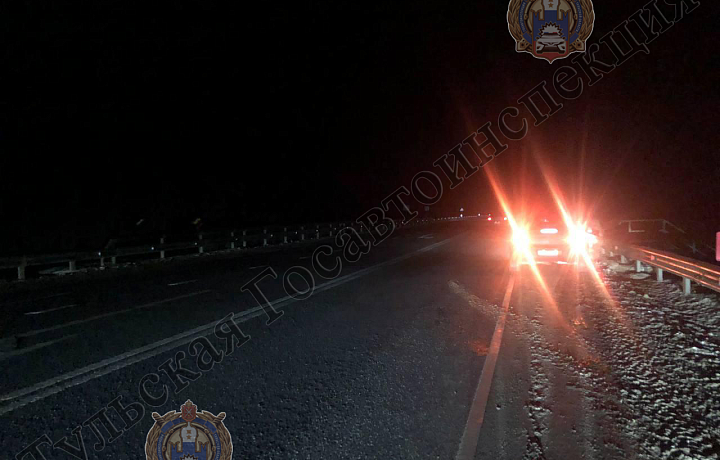 В Плавском районе водитель Opel Insignia сбил пешехода: мужчина госпитализирован