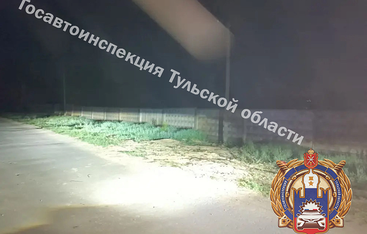 Несовершеннолетняя мотоциклистка врезалась в опору ЛЭП в Щекинском районе