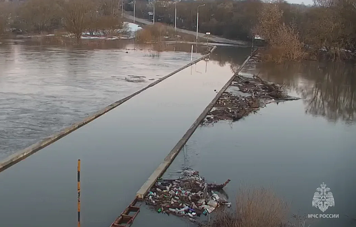 В Тульской области из-за подъема уровня воды в реках затопило десять мостов