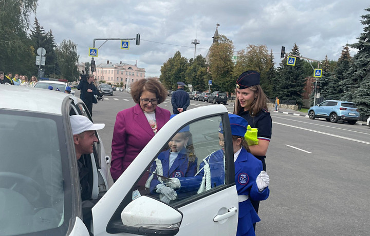 С начала года в Тульской области произошли 154 ДТП с участием детей и подростков