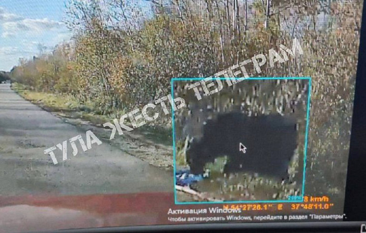 В Ясногорском районе Тульской области водитель заметил на дороге медведя - быль или сказка?