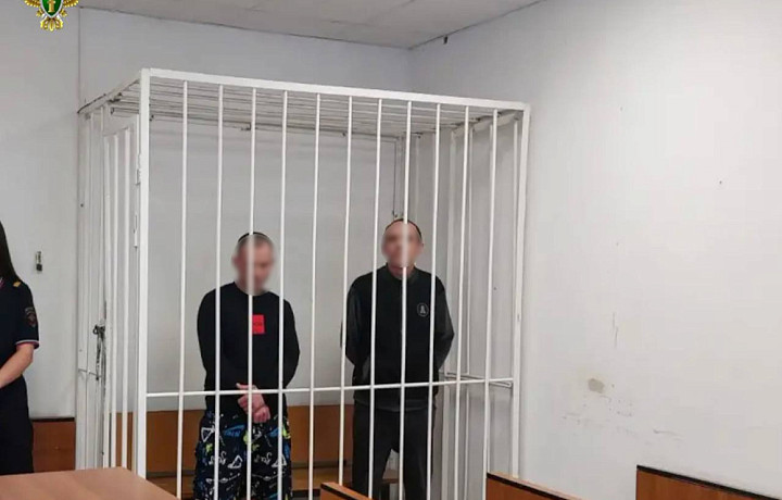 В Щёкине осудили двух мужчин за разбойное нападение на пенсионерку