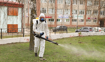 В Туле от клещей обработают свыше 160 га территорий