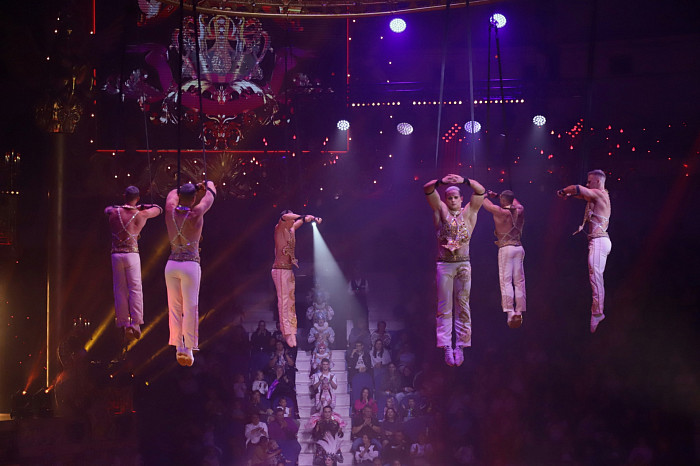 «Доводим каждую деталь до совершенства»: артисты «Королевского цирка» Гии Эрадзе рассказали, как рождается настоящее шоу