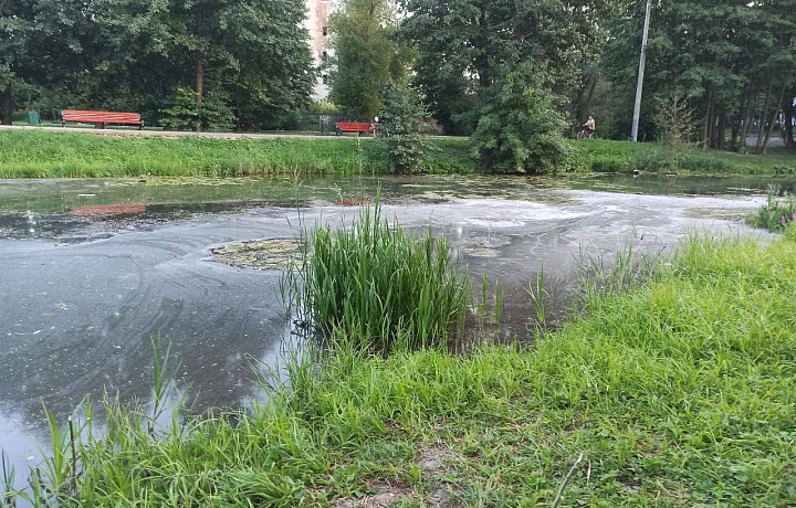 Туляки заметили странные пятна на поверхности реки Тулицы