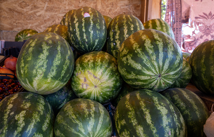 Тулякам рассказали, как выбрать сочный и сладкий арбуз
