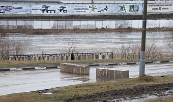 В Туле уровень воды в Упе поднялся на 20 см за сутки