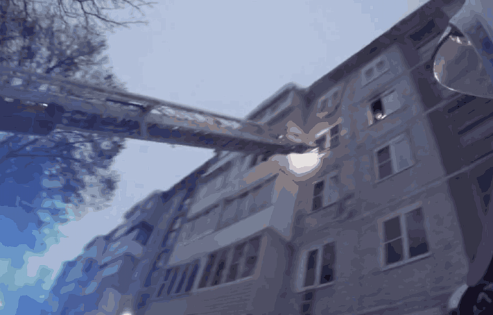 Во время пожара в жилом доме в Новомосковске спасатели эвакуировали двух человек и спасли кошку