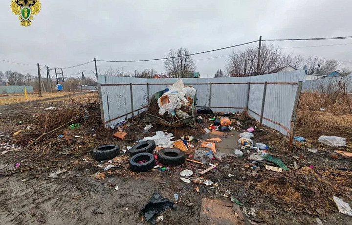 В тульском Волово обнаружили свалку и разрушенную площадку для мусора