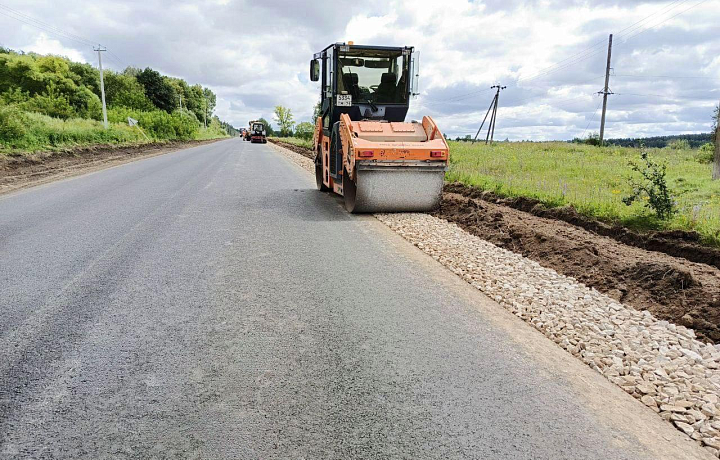 Ремонт автодороги «Чернь – Медведки» завершится к 1 сентября