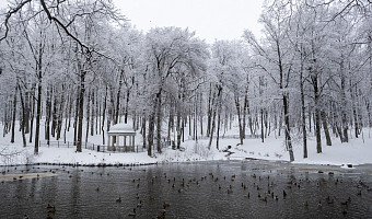 Небольшой снег и до -6 градусов ожидаются в Туле и области в пятницу, 1 декабря