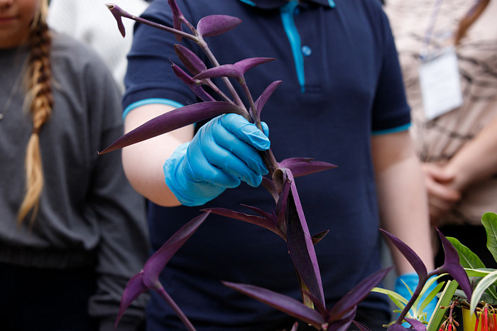 В тульской школе привели в порядок уникальную оранжерею с более чем 200 видами растений
