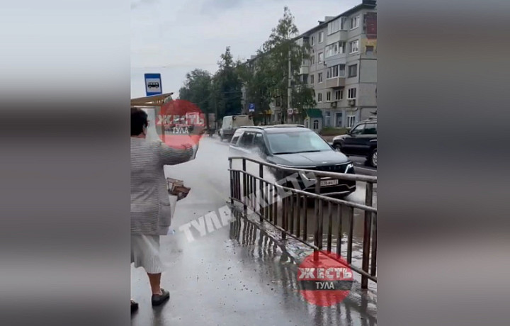 Туляки жалуются на автомобилистов, обливающих пешеходов водой из луж