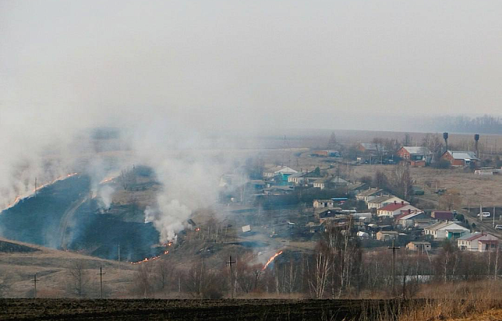 В селе Михайловское Плавского района на поле загорелась сухая трава