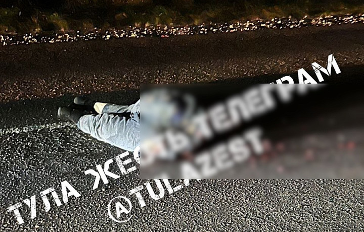 ﻿Иномарка насмерть сбила пешехода в тульском поселке Ленинский