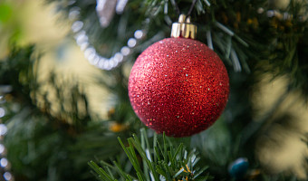 Кто-то ест виноград, а кто-то – пепел: что вы знаете о новогодних традициях разных народов?