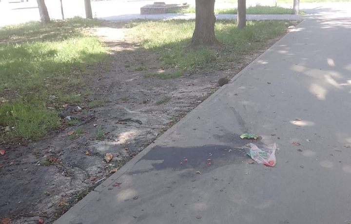 На улице Металлургов в Туле мужчина выбрасывал с четвертого этажа мусор и ежей