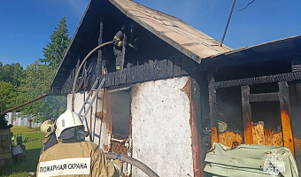 За сутки в Тульской области спасатели потушили три пожара