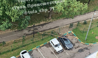 Аварийное дерево рухнуло на пешеходную дорожку в Платоновском парке Тулы