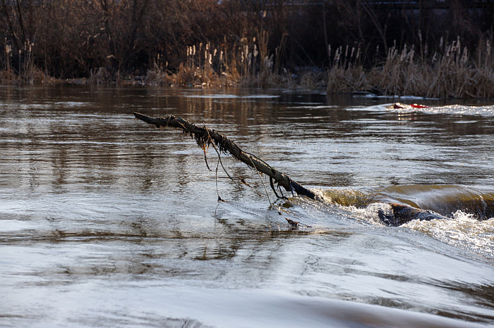 Пролетарская набережная в Туле вот-вот уйдет под воду: пик паводка возможен уже на следующей неделе