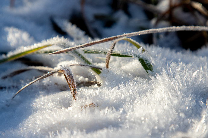 К концу недели в Тульскую область придет настоящая зима