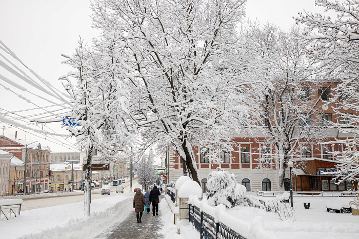 Тулу засыпало снегом: как в городе борются с последствиями стихии