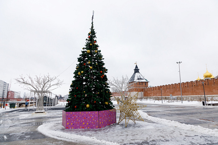 Где сделать красивые новогодние фотографии в Туле
