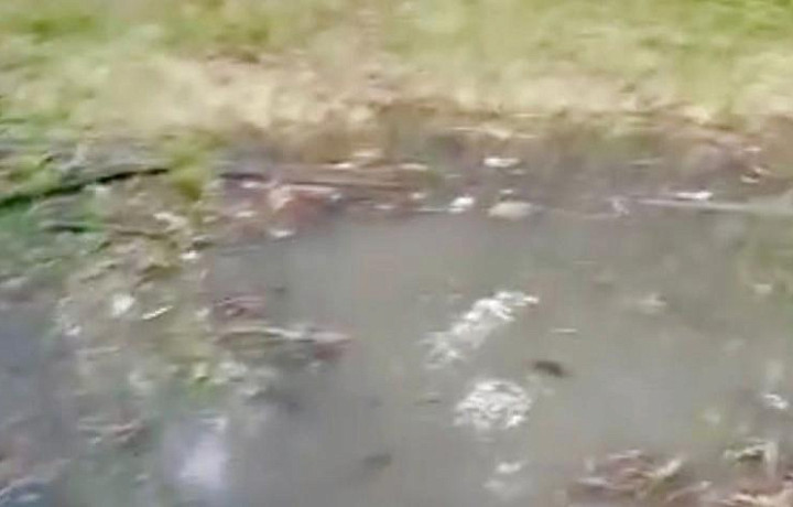 Стоки из канализации снова начали затапливать дачные участки СНТ «Лемех»