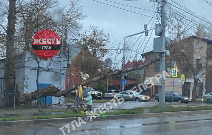 На улице Токарева в Туле упавшее дерево оборвало провода и сломало светофор