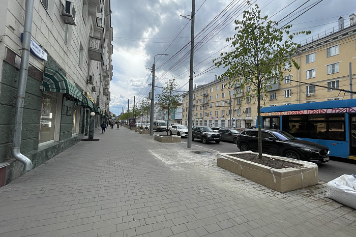 В Туле начали поднимать провода над высаженными деревьями на проспекте Ленина