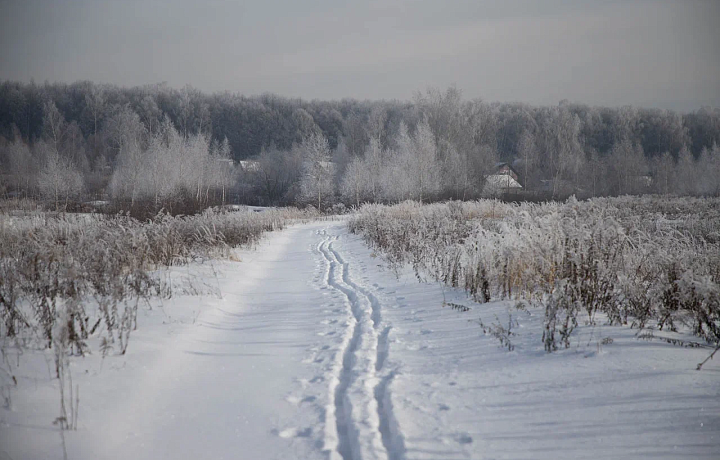 Облачную погоду и до -3 градусов спрогнозировали синоптики в Туле 26 февраля